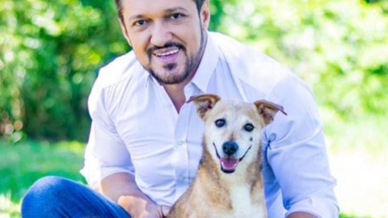 Lucas de Lima propõe cassação da inscrição estadual a empresas que maltratarem animais