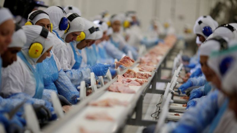 Arábia suspende compra de carne de ave de 11 frigoríficos do Brasil