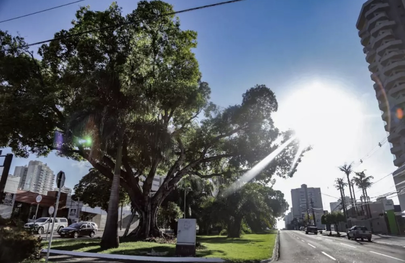 Véspera de feriado será de sol e tempo aberto em Mato Grosso do Sul