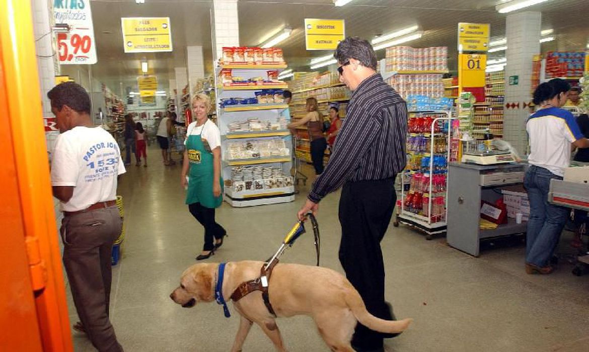 Rio permite consumidor entrar em supermercado com cães e gatos