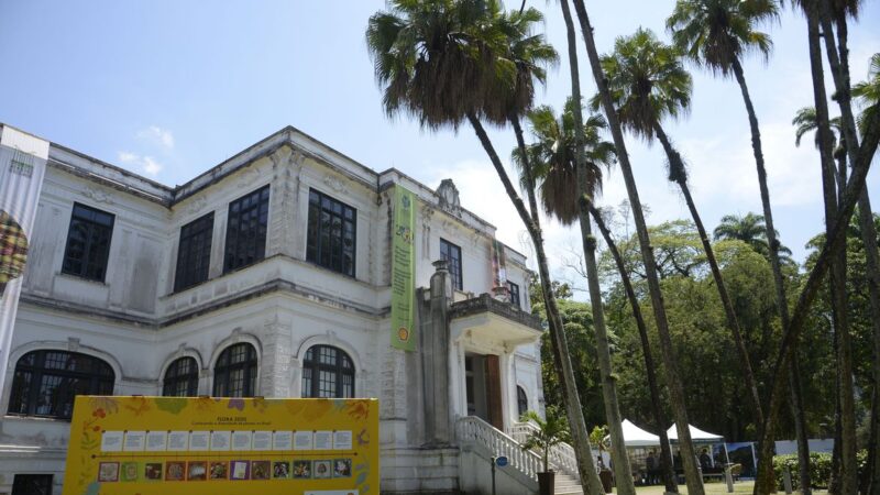 Jardim Botânico do Rio comemora 200 anos de ciência da flora no país