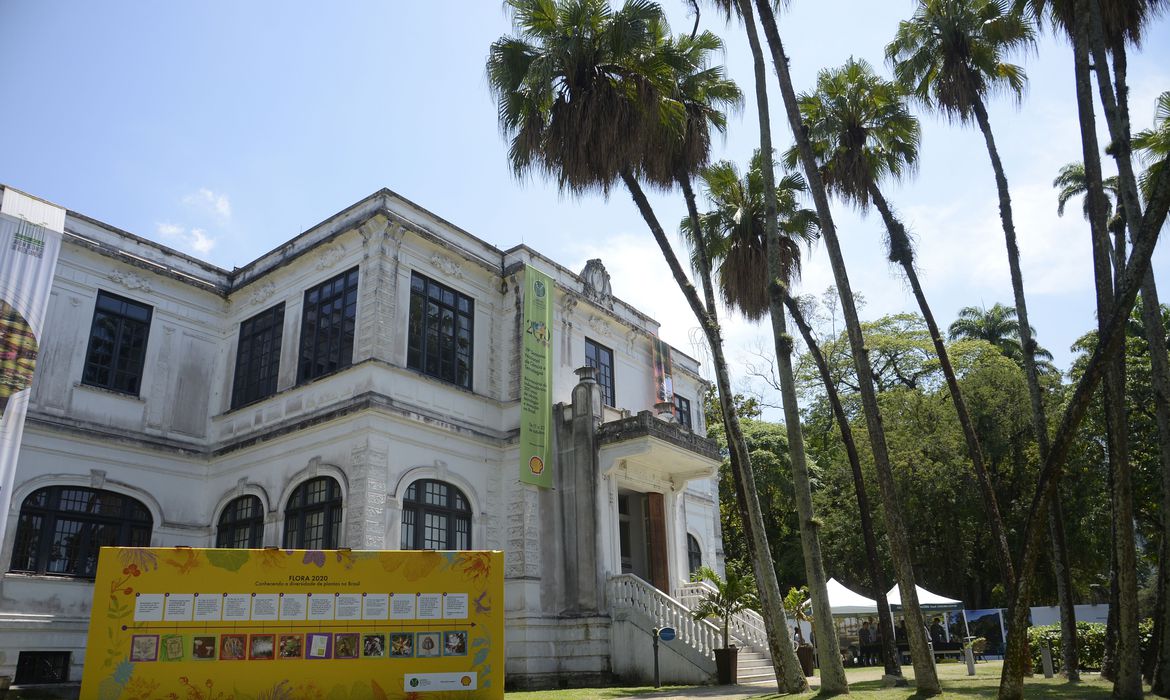 Jardim Botânico do Rio comemora 200 anos de ciência da flora no país