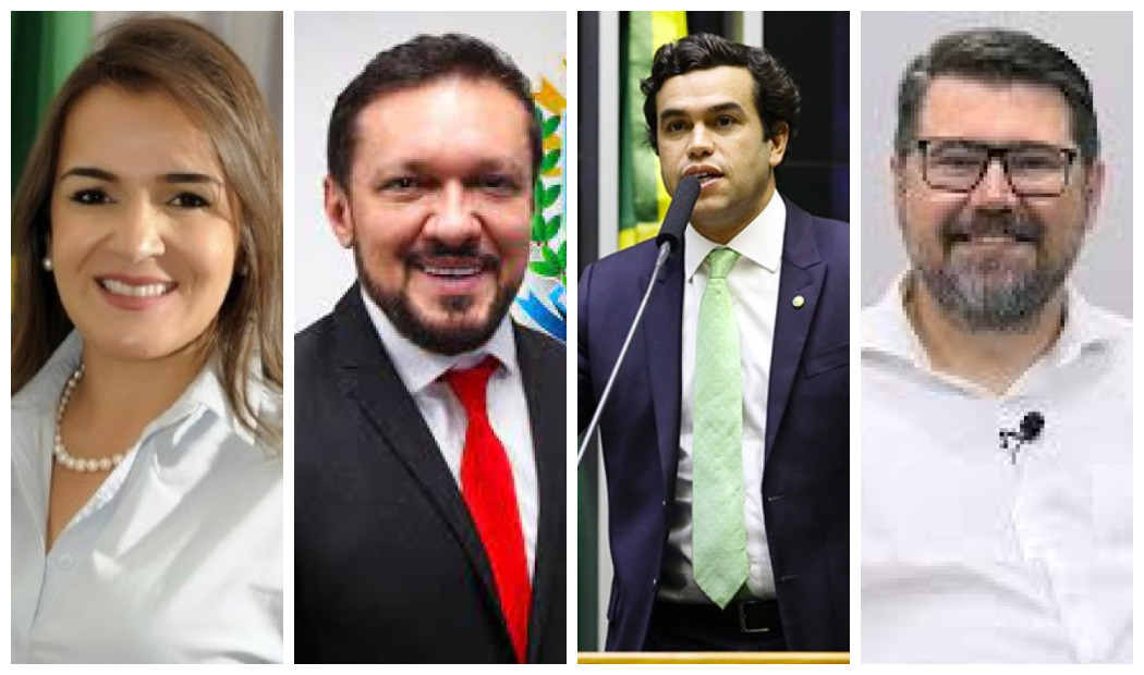 Lucas de Lima, Beto Pereira, Adriane e Pollon podem ser novidade na eleição, aposta cientista