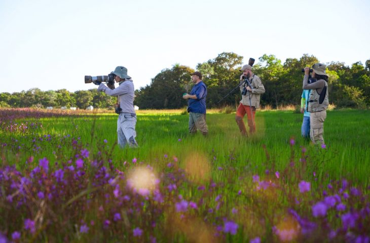 Meio Ambiente: Observadores de aves poderão ter dia estadual – Projeto de Lei de Pedro Kemp