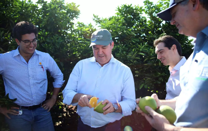 Governo de Mato Grosso do Sul concede benefício fiscal para incentivar a expansão da citricultura no Estado