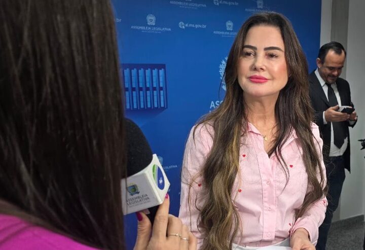 Pontes devem ser substituídas em distrito de Paranaíba, diz Mara Caseiro