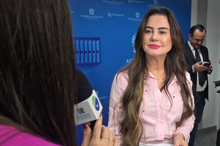 Pontes devem ser substituídas em distrito de Paranaíba, diz Mara Caseiro